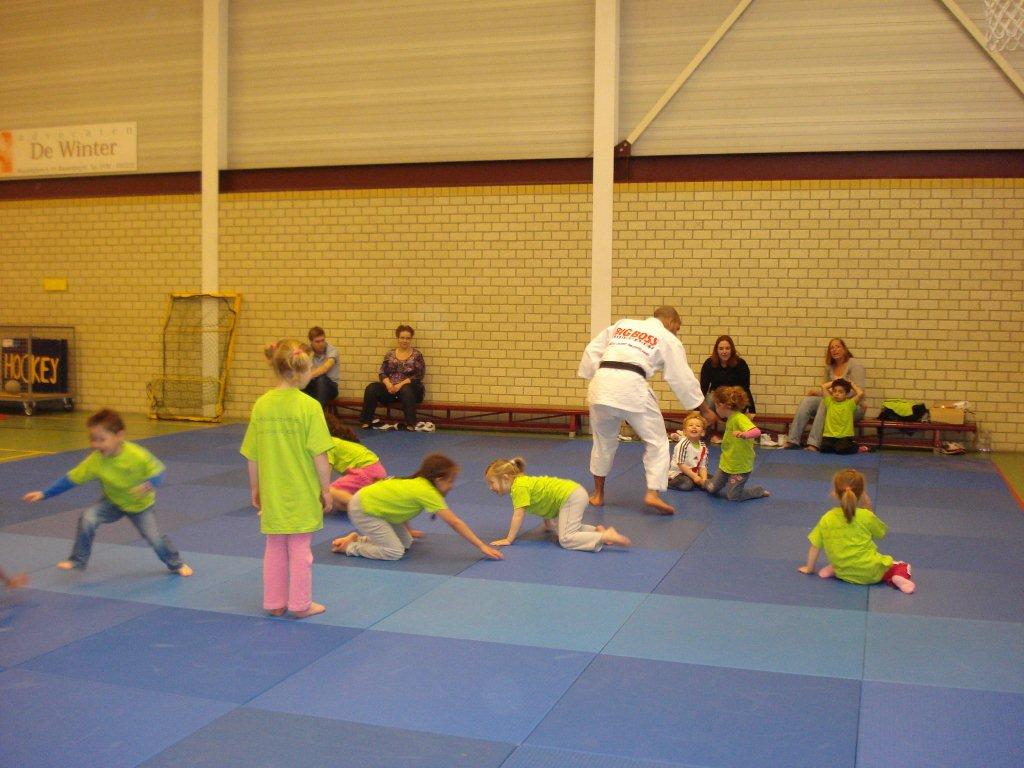 Judo op school of sportvereniging